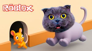 Прятки кошки против мышек в Роблокс. Поймай больше мышек, чтобы выжить в Roblox