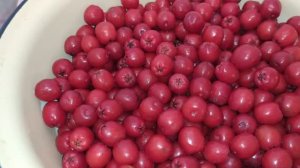 Варенье из протертых ягод красной рябины