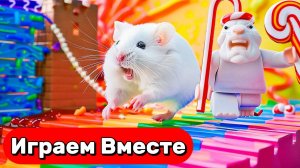 ЛАБИРИНТ С ЛОВУШКАМИ И МОНСТРАМИ ДЛЯ УМНОГО ХОМЯКА №6 🐹 ВИДЕО ПРО ХОМЯКА ДЛЯ ДЕТЕЙ