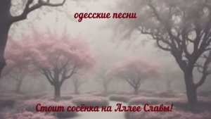 Стоит сосёнка на Аллее Славы Песня за Одессу Odessa song