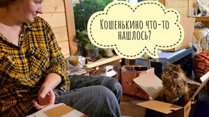 Распаковка посылочек из дальних далей! Кошка Морошка помогает, Артём снимает, я радуюсь!