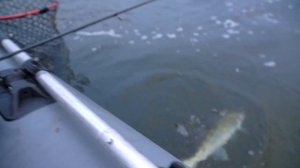 ЗНАЕШЬ КАРТУ ГЛУБИН - ПОЙМАЕШЬ СУДАКА!