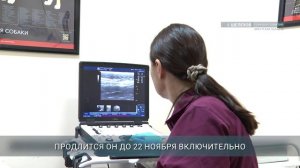 Главные новости Иркутской области, 12 ноября 2025 года