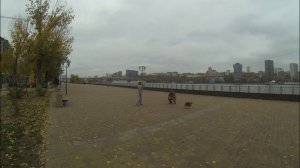 Хмурый ноябрь 2025.