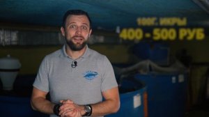 БИЗНЕС_НА_РЫБЕ_Всё_Настолько_ПЕЧАЛЬНО_Как_ВСЕ_ГОВОРЯТ