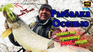 Удивительная приманка ❗Классные поклёвки ❗Осень радует ❗