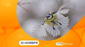 Утро России. Калуга (12.11.2025)