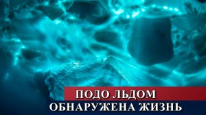 Подо льдом обнаружена жизнь.