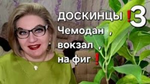 ДОСКИНЦЫ❗️Чемодан ,вокзал, на фиг❗️