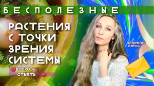 БЕСПОЛЕЗНЫЕ РАСТЕНИЯ С ТОЧКИ ЗРЕНИЯ СИСТЕМЫ🪴