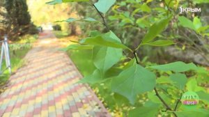 О зелёных насаждениях Евпатории