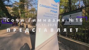 Сочи, Гимназия 16, Часть 1 "Тисо-самшитовая роща" 07.11.2025