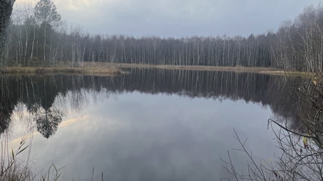 Минус два привода! Путешествие на заколдованное лесное озеро