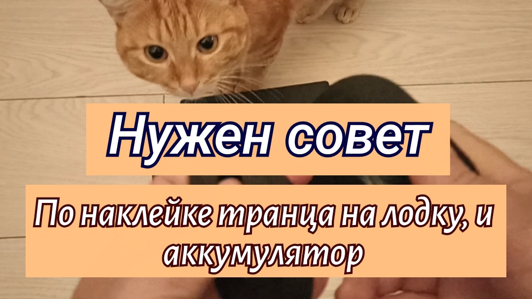 Нужен совет