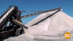 Расти, моя соль! Доброе утро. Фрагмент выпуска от 12.11.2025