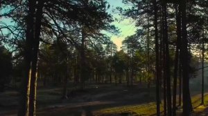 С юбилеем Ханты-Мансийский автономный округ-Югра, 95 лет. Сквозь века и метели