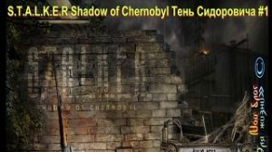 S.T.A.L.K.E.R Shadow of Chernobyl Тень Сидоровича #1 обзор мода