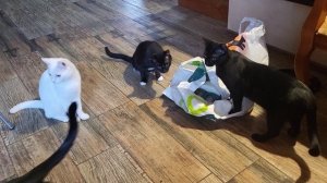 Строгий контроль. Strict verification