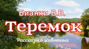 Рассказ «Теремок» и другие рассказы Бианки В.В.