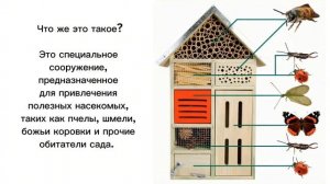 Отель для насекомых