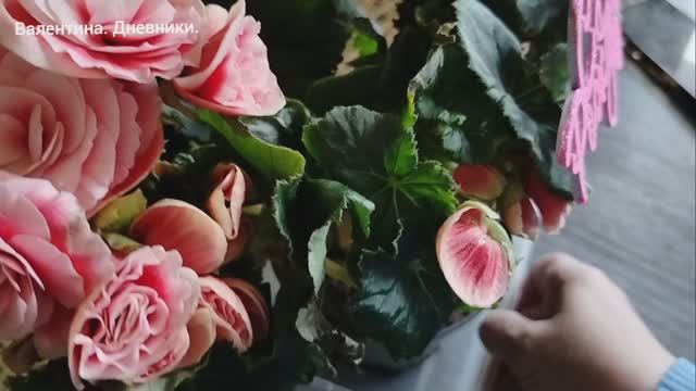 10.11.2025 Вкусняшки. Утки. Волга.