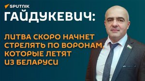 Гайдукевич: Литва скоро начнет стрелять по воронам, которые летят из Беларуси