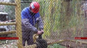 В Болхове провели учения для подготовки даже к самым опасным взрывам