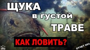 Как ловить щуку в траве.Рыбалка на спиннинг