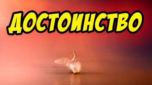 Достоинство - Василий Савич. Христианские проповеди