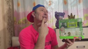 СХОДИЛИ, БЛИН НА ЧЕБУРАШКУ! #чебурашка