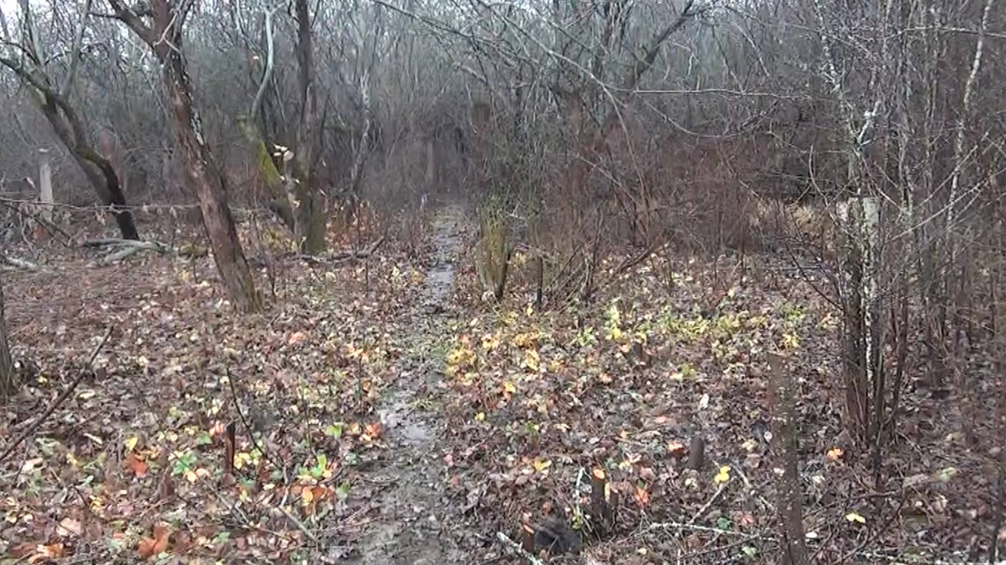 От зарослей к новым очертаниям участка!