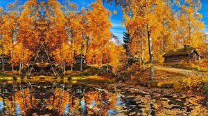 Видеофон-Панорама !!! Расставание с осенью!!! Осенний видеофон!!!