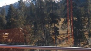 DSCN8466 Осенний Архыз,канатка,ферма Альпаки ноябрь 2025