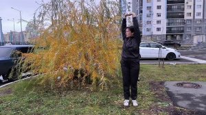 Баланс "4-х стихий" у ноябрьской ивы с комментированием энергопрактик