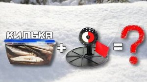 ЧТО БУДЕТ, если расставить 20 ЖЕРЛИЦ С КИЛЬКОЙ?! Разоблачение года! Рыбалка 2025