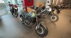 BENELLI LEONCINO 500 зеленый