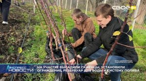 Экспресс новости на Своём от 12 ноября 2025г. 16:30