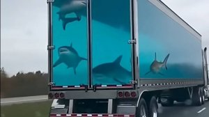 Приколы с животными смотреть смешное  видео онлайн