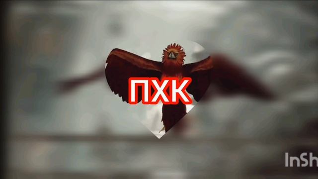 Аватарка для канала ПХК