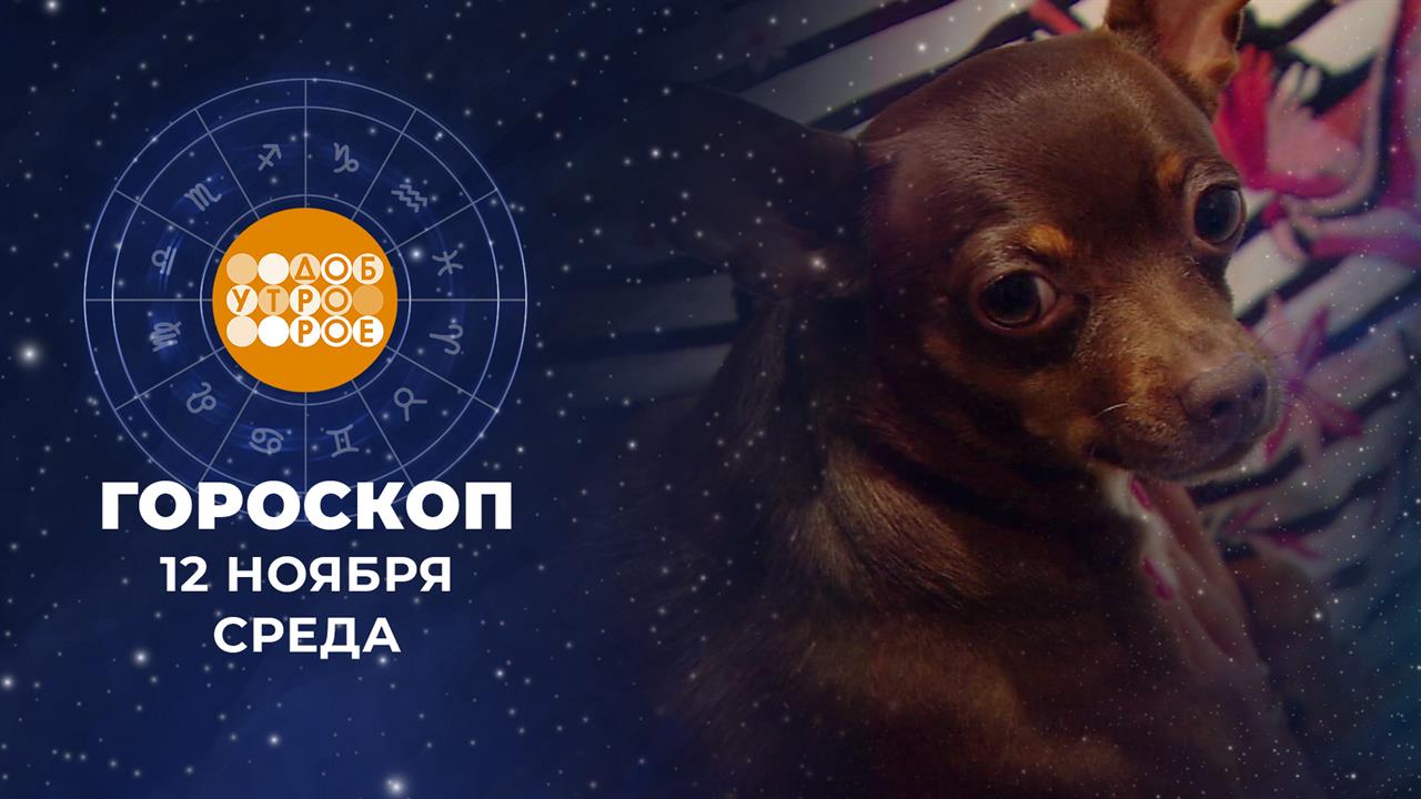 Гороскоп на 12 ноября для всех знаков зодиака