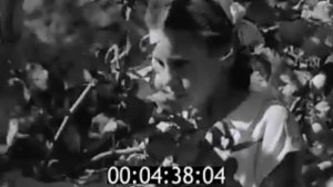 Киножурнал Наш край 1960 год №42