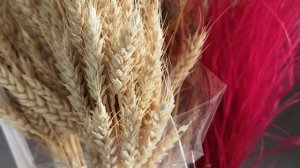 Салон цветов | Fleur de lis | Краснодар