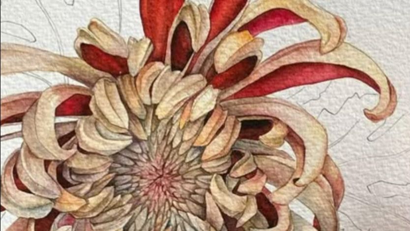 Рисование с Людмилой Мешковой