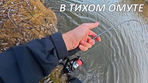 Непомерная рыба ЗАГИБАЕТ ультралайт. Микроджиг удивляет! Осенняя проводка. Рыбалка на спиннинг