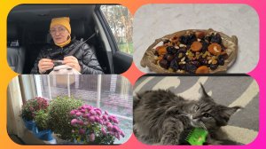 12-11-2025г.Хроника дня Жизнь на пенсии в деревне.