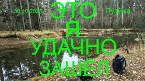 ЭТО Я УДАЧНО ЗАШЕЛ. 30.10.2025. Карьеры "Путина".