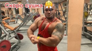 подготовка к соревнованиям по бодибилдингу,цикл масса набор день 41