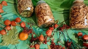 Отчёт за ноябрь вСП"Носочная коробочка5"с Еленой Велиной"Вечные"носки с отдельной подошвой.В.Волкова