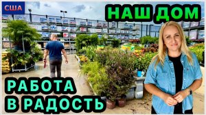 Что с деревом?🤔 Закончили с жасмином и со шкафами в ванной. Покупки на Amazon. Обустройство. США