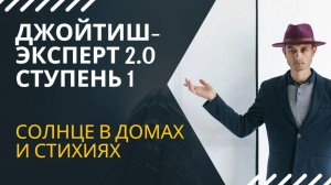 Джйотиш Эксперт 2 0  Солнце в домах и знаках.